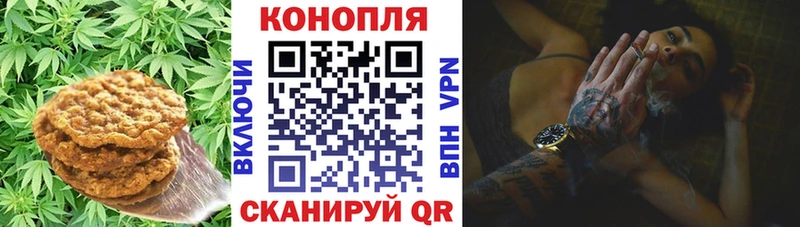 Cannafood марихуана  что такое   Шумиха 