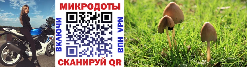 Псилоцибиновые грибы Psilocybe  сайты даркнета состав  Шумиха  купить наркоту  блэк спрут сайт 